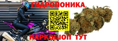 ПСИЛОЦИБИНОВЫЕ ГРИБЫ Канаш